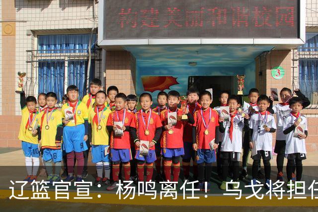 辽篮官宣：杨鸣离任！乌戈将担任辽宁男篮主帅
